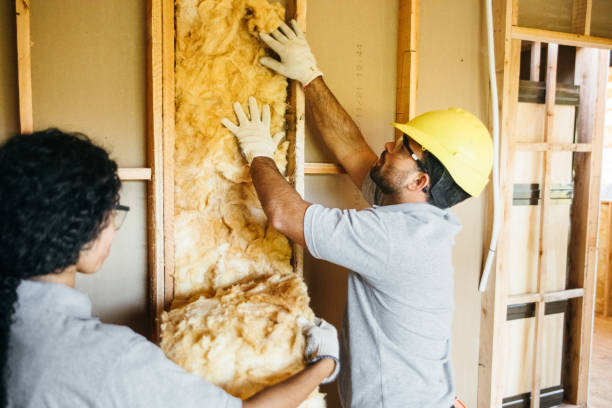 Best Soundproof Insulation  in Baldwin Park, CA